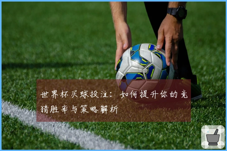 世界杯买球投注：如何提升你的竞猜胜率与策略解析