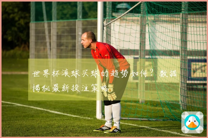 世界杯滚球买球的趋势如何？数据揭秘最新投注策略