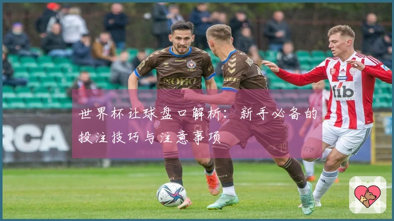 世界杯让球盘口解析：新手必备的投注技巧与注意事项