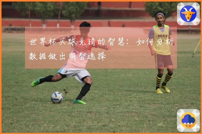 世界杯买球竞猜的智慧：如何分析数据做出明智选择