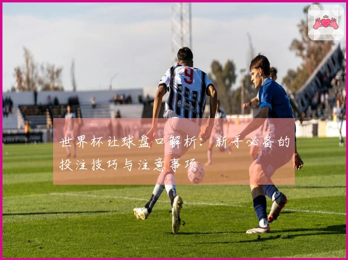世界杯让球盘口解析：新手必备的投注技巧与注意事项