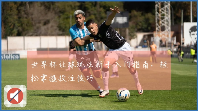 世界杯让球玩法新手入门指南，轻松掌握投注技巧