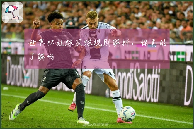 世界杯让球买球规则解析，你真的了解吗