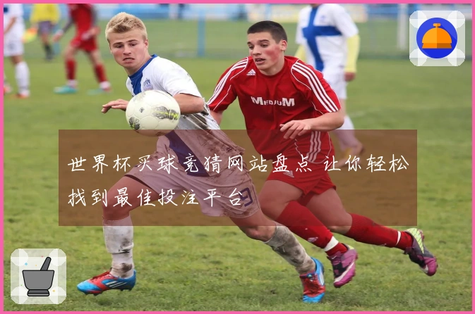 世界杯买球竞猜网站盘点 让你轻松找到最佳投注平台