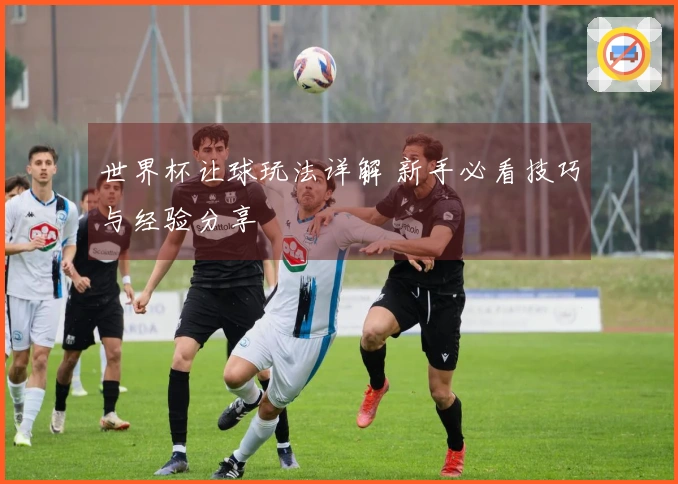世界杯让球玩法详解 新手必看技巧与经验分享