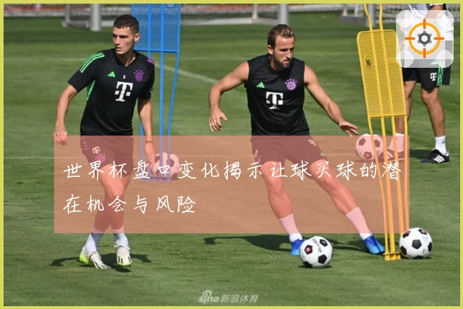 世界杯盘口变化揭示让球买球的潜在机会与风险