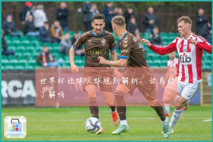 世界杯让球买球规则解析，你真的了解吗