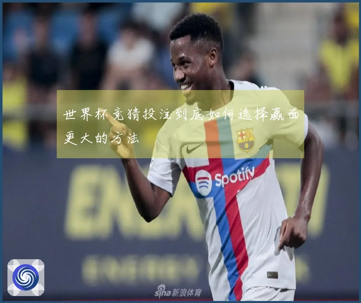 世界杯竞猜投注到底如何选择赢面更大的方法