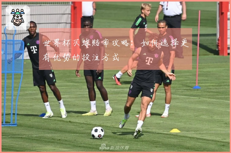 世界杯买球赔率攻略：如何选择更有优势的投注方式