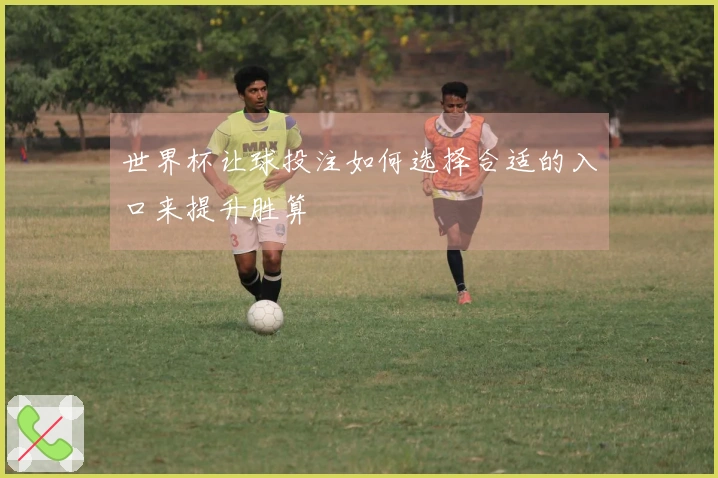 世界杯让球投注如何选择合适的入口来提升胜算